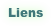 Liens